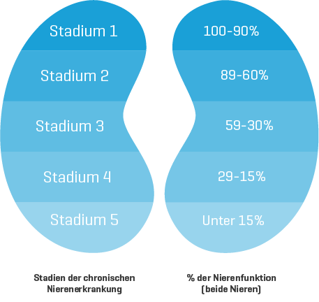 Stadien 1–5 der chronischen Nierenerkrankung